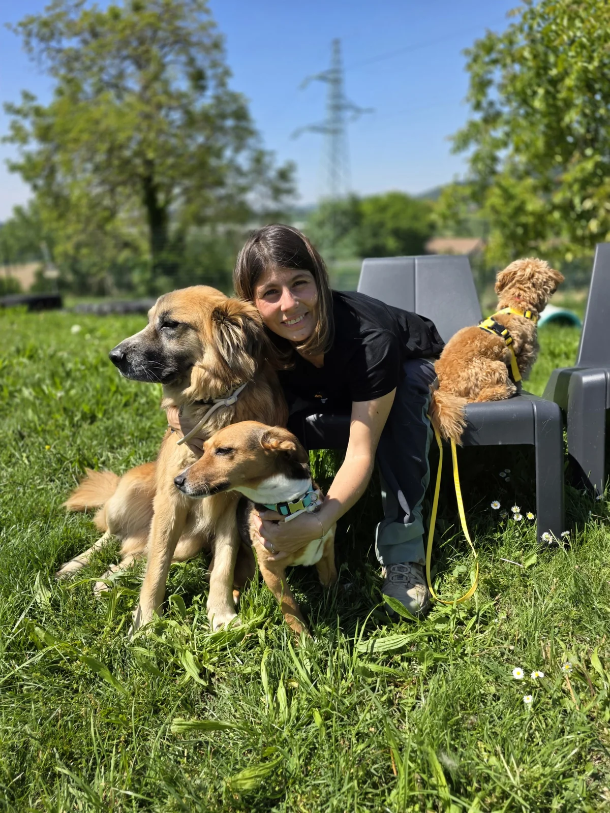 Jessica — Educatrice cinofila di Dog's Tale a.s.d. insieme ai suoi cani